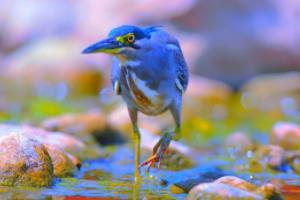 2026年世界杯时间表一览表，全球球迷的期待与关注2026世界杯时间表一览表