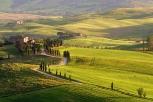 2022年世界杯亚洲区预选赛18强，激情与实力的较量世界杯亚洲区预选赛18强